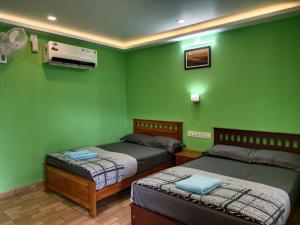 - 2 lits dans une chambre aux murs verts dans l'établissement Agronest Farm by LivingStone, à Sultan Bathery