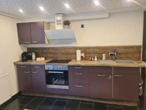 una cucina con armadi viola e lavandino di Appartement am Ziegeleipark a Heilbronn