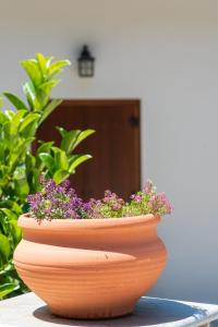 un plantador con flores púrpuras en él sentado en una mesa en Άλυσσος suites, en Tsagkarada