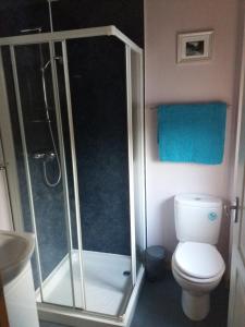 ein Bad mit einer Dusche und einem WC in der Unterkunft Aviemore Glenlivet Lodge in Aviemore