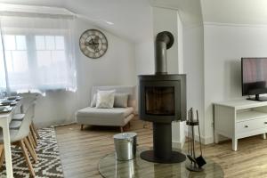 MyHome Ruegen - Haus Sonnenmeer في اوستيباد سيلين: غرفة معيشة مع موقد خشبي وأريكة