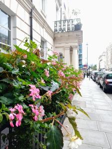 um ramo de flores cor-de-rosa na lateral de um edifício em Hotel Edward Paddington em Londres