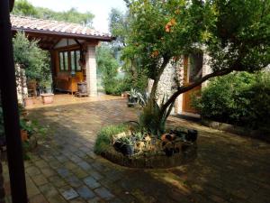 a courtyard with a house with a tree and plants at B&B Cagnona in Borghi