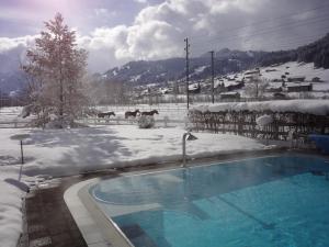 a snow covered yard with a swimming pool and horses in the background at Hotel Simmenhof in Lenk