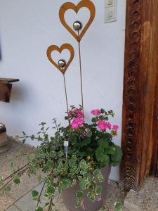 Zahrada ubytování Ferienwohnung Schatzhof