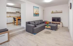 uma sala de estar com um sofá e uma televisão em Apartments Toni em Poljana