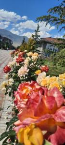 Fotografie z fotogalerie ubytování Уютный коттедж на берегу Иссык-Куля, Киргизия v destinaci Chok-Tal + 46 fotografií