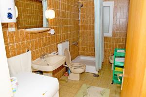 een badkamer met een toilet, een wastafel en een douche bij Apartments Mara in Klek