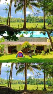 a group of four pictures of a house and a tent at Susan Homestay in Batukaras