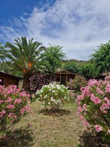 einen Garten mit rosa und weißen Blumen und Bäumen in der Unterkunft Mare E Monti in Porto Pollo