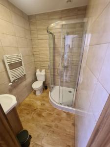 a bathroom with a shower and a toilet at Agroturystyka Sosnowy Gaik in Tykocin