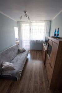 een woonkamer met een bank en een televisie bij Mieszkanie w sercu Sudetów in Nowa Ruda