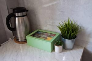 a green box sitting on a counter with plants at Mieszkanie w sercu Sudetów in Nowa Ruda