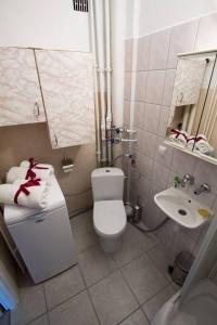 a small bathroom with a toilet and a sink at Mieszkanie w sercu Sudetów in Nowa Ruda