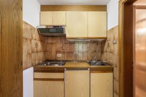 eine kleine Küche mit Holzschränken und einem Waschbecken in der Unterkunft Rieglhof Apartment Hennennest in Kapron