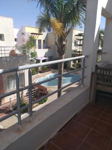 a balcony with a palm tree and a swimming pool at Bel appartement meublé B 16 in El Jadida