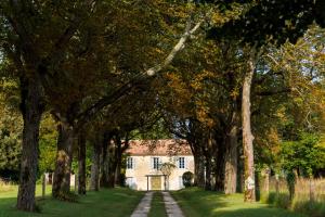 een pad naar een huis door een rij bomen bij Domaine de Seugnac in Pons