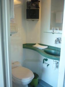 a bathroom with a toilet and a sink at Hotel Restaurant La Chaumiere du Lac in Clairvaux-les-Lacs