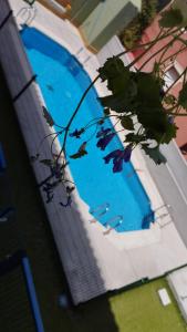 a large blue swimming pool next to a building at Suit piscina y terraza in San Lorenzo de El Escorial