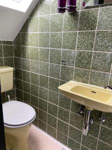 a bathroom with a toilet and a sink at Haus Petra in Stadtkyll