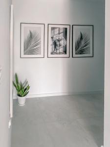 Zdjęcie z galerii obiektu Fredry 2 Apartament Liliowy w Kołobrzegu