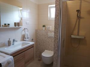 a bathroom with a toilet and a sink and a shower at Apartment Anton in Slatine