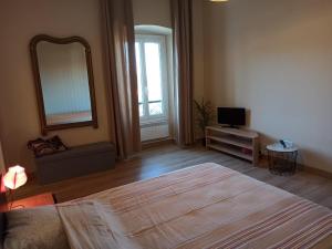 a bedroom with a large bed and a mirror at Chez Laurette Murato in Murato