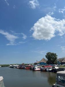 un groupe de bateaux garés dans un port de plaisance dans l'établissement Apartament Clemy, à Jurilovca 20 autres photos