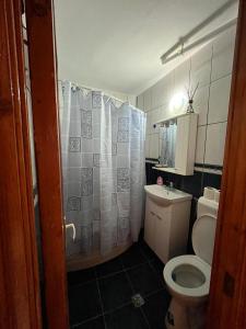 une salle de bain avec toilettes et rideau de douche dans l'établissement Apartament Clemy, à Jurilovca