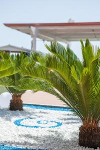 Bazén v ubytování BluRiva Hotel nebo v jeho okolí