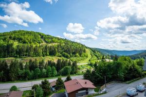 uma vista para uma montanha com carros estacionados numa estrada em L'Ourson des Myrtilles em La Bresse