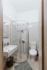 a bathroom with a shower and a toilet and a sink at Panoramic Vlachos in Gjirokastër