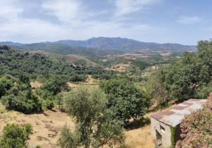 Fotografia z galérie ubytovania Vacances près de Saint Florent v destinácii Olmeta-di-Tuda