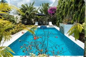 a swimming pool in the middle of a yard with plants at Villa Jaddis in Abidjan