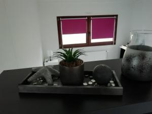 bandeja con una planta en una mesa con una ventana en Chalet Knut en Osterode