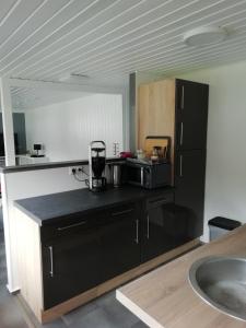 a kitchen with black cabinets and a black refrigerator at Chalet Knut in Osterode