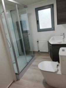 a bathroom with a shower and a toilet and a sink at Chalet Knut in Osterode
