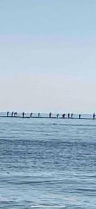 Zdjęcie z galerii obiektu Apartamentoen la playa, 200 Mts de la playa Nuevo w mieście Santa Pola