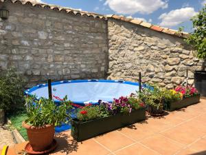 a swimming pool in a yard with potted plants at La Casa Escondida in Sabiote