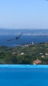 Afbeelding uit fotogalerij van Apartmaji Meli.Pu 4 in Izola