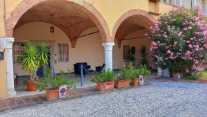 una fila de plantas en macetas en un edificio en Casa Giulia en Rodengo Saiano