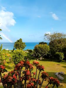 a garden with flowers and the ocean in the background at Rose Self Catering in Beau Vallon