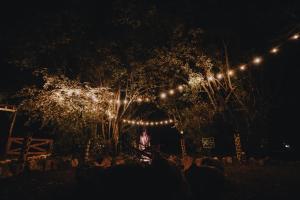 a group of lights hanging from a tree at night at Mara Olapa Camp in Masai Mara