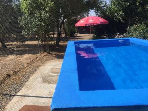 ein blauer Swimmingpool mit einem roten Sonnenschirm und einem rosa Sonnenschirm in der Unterkunft Vivienda Turistica Rural Casa Santa Clara in Hinojosa del Duque + 22 Fotos