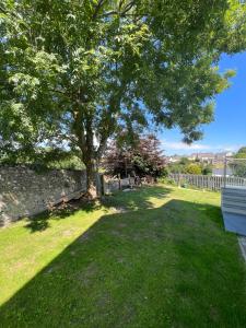 a tree in the middle of a yard with a bench at Orchard Lodge -Coastal Retreat, new build, village views, private garden and terrace in Saint Brides Major