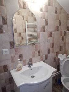 波洛夫拉吉鄉的住宿－Pensiunea Saradavy，一间带水槽、镜子和卫生间的浴室