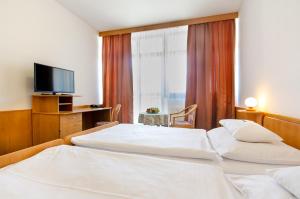 TV i/ili multimedijalni sistem u objektu Hotel Kotyza