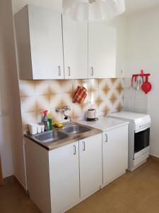 Kitchen o kitchenette sa Apartment Lavcevic