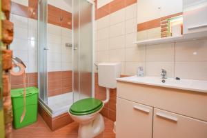 a bathroom with a green toilet and a sink at House Luce in Neviđane
