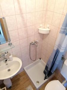 La salle de bains est pourvue d'une douche, d'un lavabo et de toilettes. dans l'établissement Apartments Amfora, à Gdinj